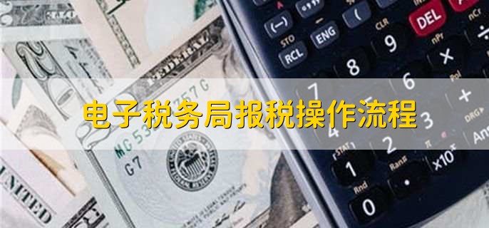 电子税务局报税操作流程示意图