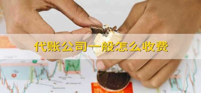 上海代理记账