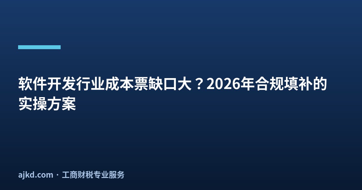软件开发行业成本票不够